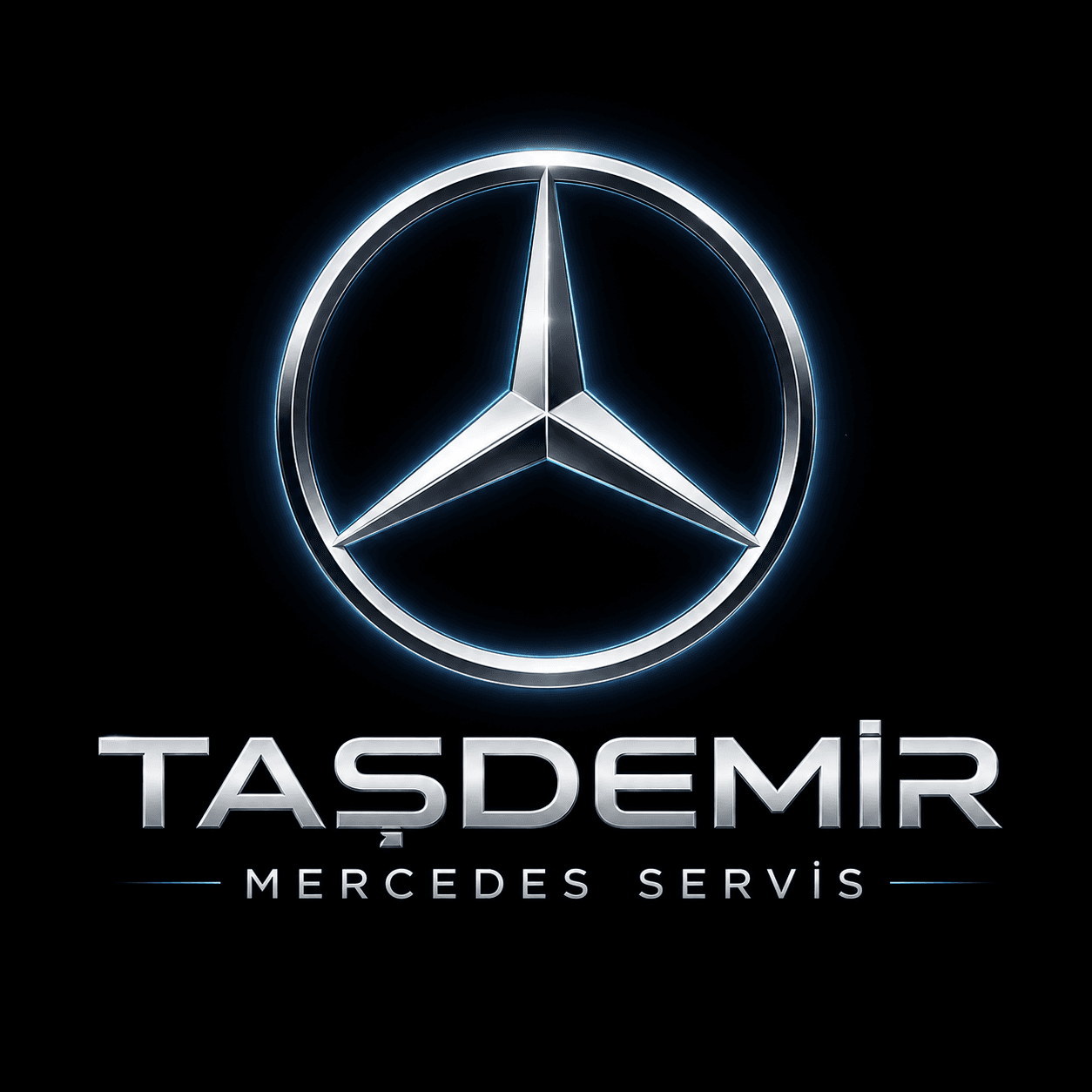 Mercedes Servis Taşdemir